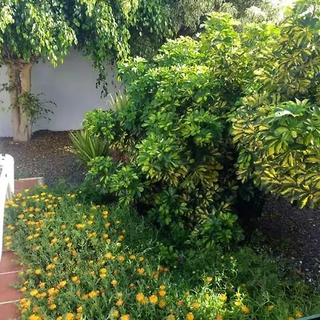 Sleeps 4 Wifi Costa Teguise